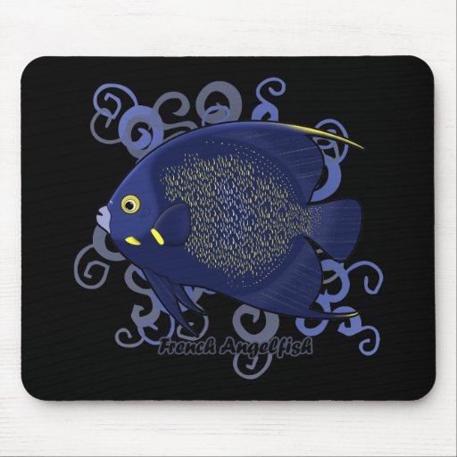 French Angelfish Mousepad