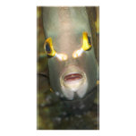 French Angelfish Personalized Photo Card