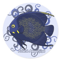 French Angelfish stickers by MenagerieMayhem French Angelfish stickers