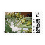 French Artichokes - Postage