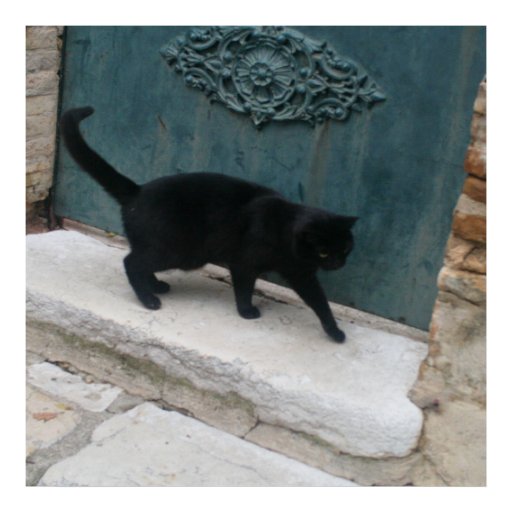 french_black_cat_nice_france_print_poste