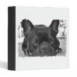 French Bull Dog Binder binders