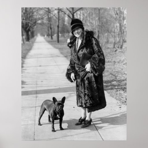 French Bulldog, 1920s Print