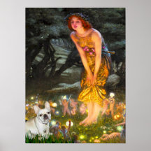 French Bulldog 3 - MidEve Poster