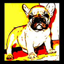 French bulldog art poster posters