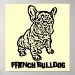French bulldog art poster