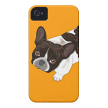 French Bulldog Bailey iPhone 4 Cover