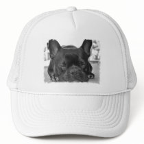 French Bulldog Baseball Cap Mesh Hats
