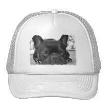 French Bulldog Baseball Cap Mesh Hats