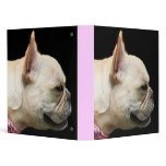 French Bulldog binder