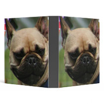 French bulldog binder