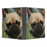 French bulldog binder