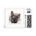 French Bulldog (Black) Busting Out - Customized stamp