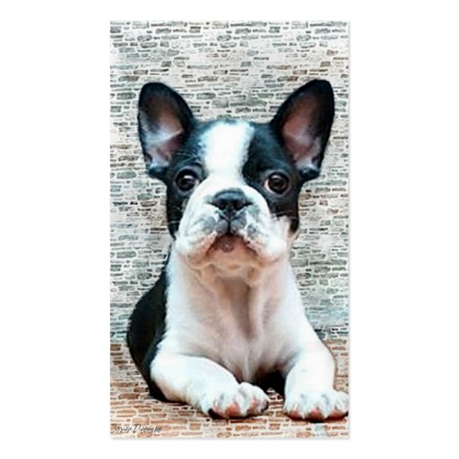French Bulldog business cards (front side)