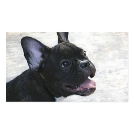 French Bulldog business cards