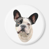 French Bulldog BW Bust magnets