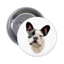 French Bulldog BW Bust buttons