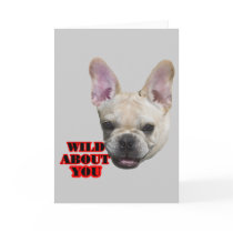 French Bulldog cards