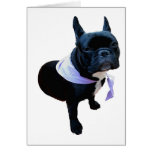 French bulldog cards
