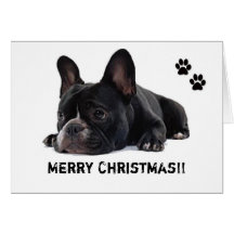 French Bulldog christmas card