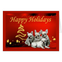 French Bulldog Christmas Card Stars