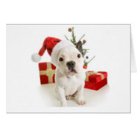 French bulldog Christmas greetings card