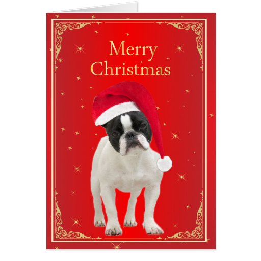 French Bulldog dog red merry christmas card | Zazzle