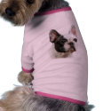 french bulldog dog t shirt pet clothing by kcpetcollectables french bulldog dog t shirt pet clothing