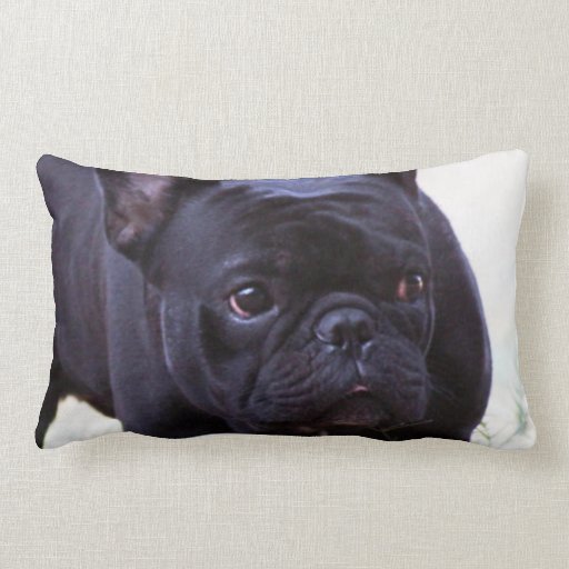 French Bulldog dog Throw Pillow | Zazzle