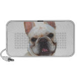 French bulldog doodle speaker