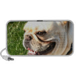French Bulldog doodle speaker
