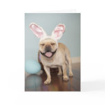 French Bulldog Easter Card!