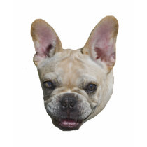 French Bulldog Gift t-shirts