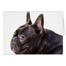 French Bulldog greeting card