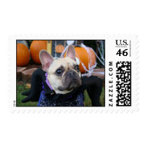 French Bulldog Halloween postage