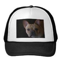 French Bulldog Hats