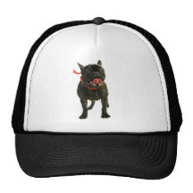 French Bulldog Hats