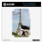French bulldog in Paris iphone 2G/3G/3GS skin Skin For iPhone 3