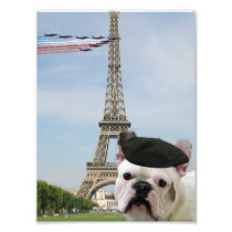 French bulldog in Paris Photo Print