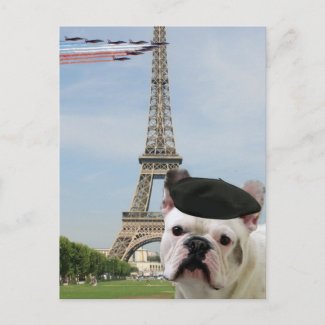 French Bulldog in Paris postcard postcard
