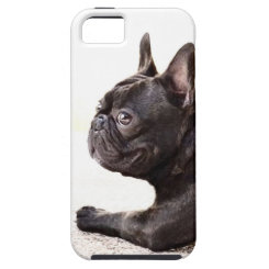 French Bulldog iPhone 5 Case