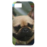 French Bulldog iPhone 5 Cover