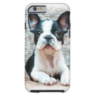 French Bulldog iPhone 6 Case