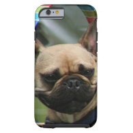 French Bulldog iPhone 6 Case