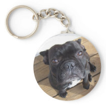French Bulldog Key Chains