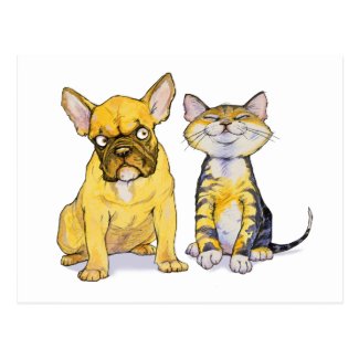 French Bulldog & Kitten Postcard