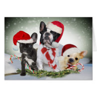 French Bulldog Let It Snow Cards