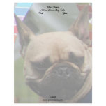 French Bulldog letterhead