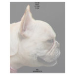 French Bulldog letterhead