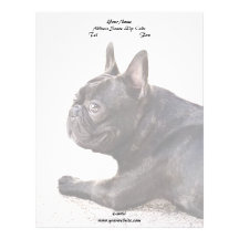 French Bulldog Letterhead
